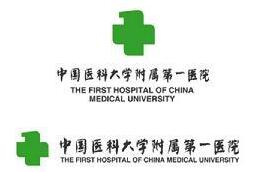 中国医科大学附属第一医院(中国医大一院)整形外科