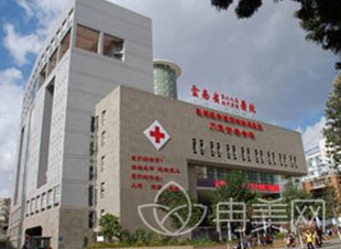 云南省第二人民医院整形外科