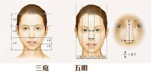 天津眼科医院整形外科自体肋软骨隆鼻案例：