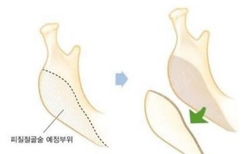 广州海峡谭新东