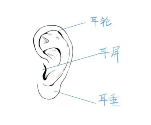 上海五官科医院整形外科耳矫正案例