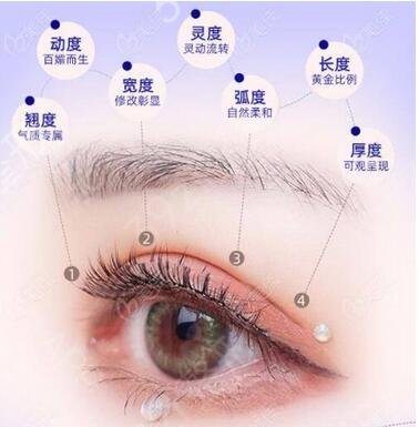 上海眼王柴云案例：眼睛(双眼皮)做的怎么样|图片|人气医生费用曝光