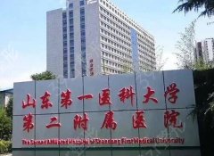 山东第一医科大学第二附属医院整形外科