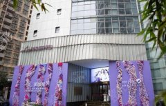 上海美莱医疗美容整形医院