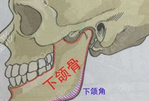 扬州苏北人民医院整形科下颌角磨骨怎么样?从我恢复经历看果如何